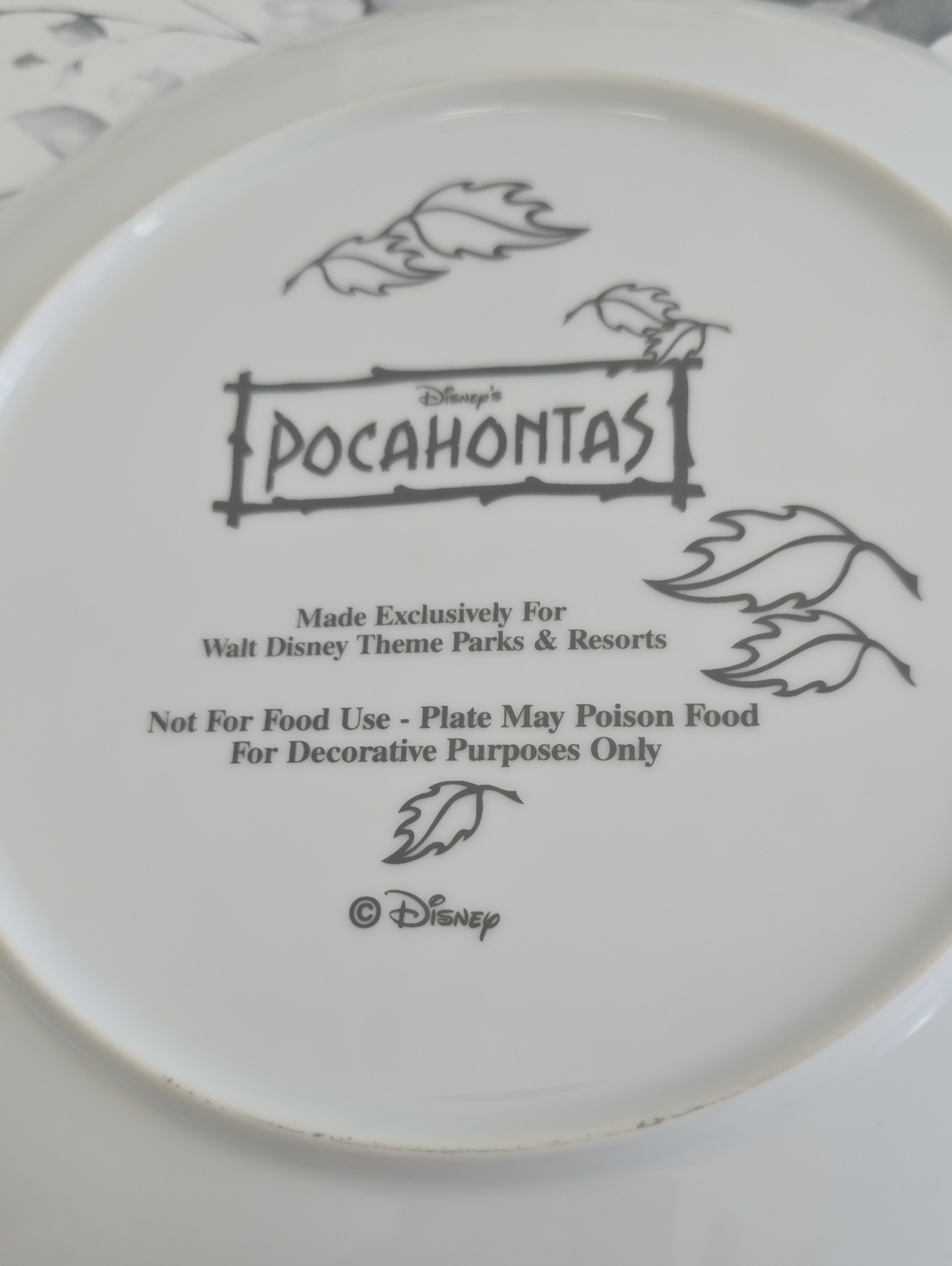 Vintage Disney Pocahontas Collector's Plate Walt Disney Theme Parks & Resorts - Picture 7 of 8